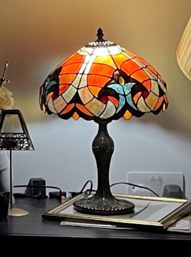Tiffany lamp bought at Sue Ryder for £25.00