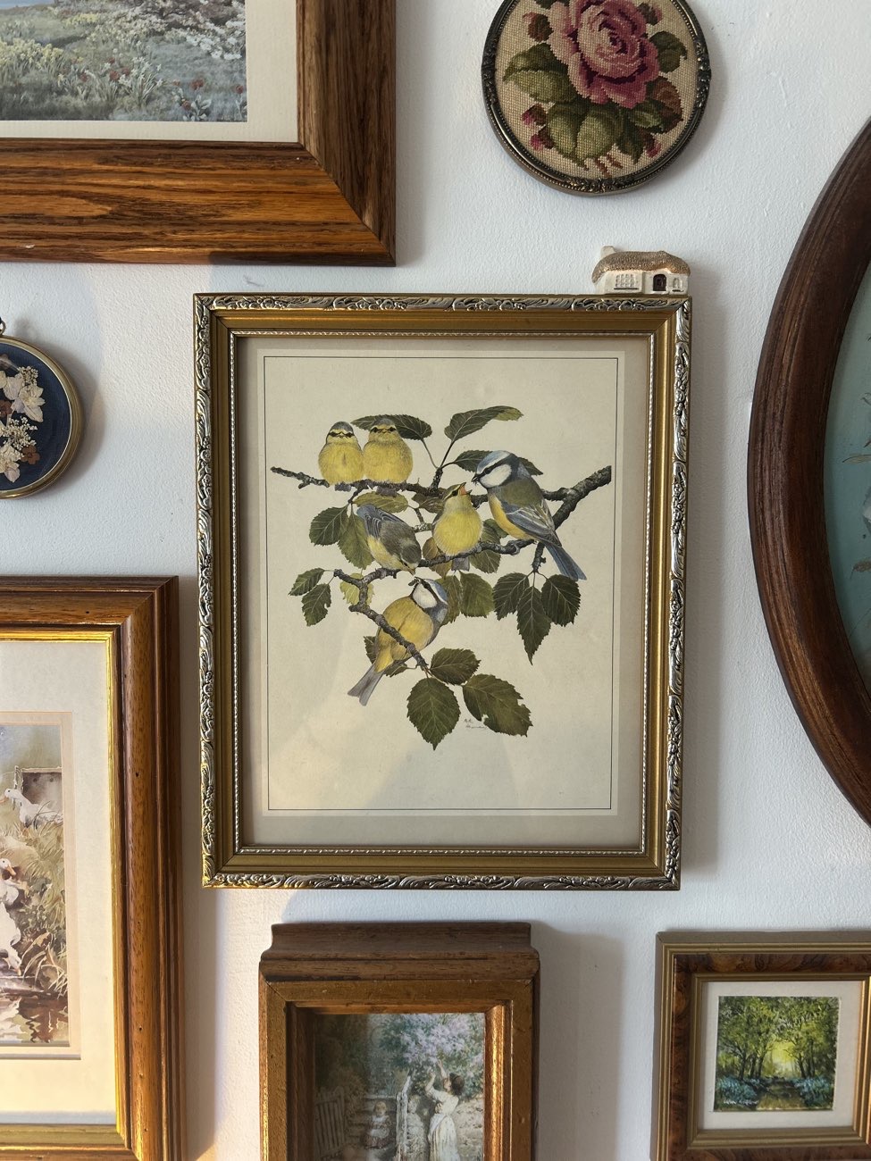Bird Print in frame product bought at Sue Ryder for £1.25
