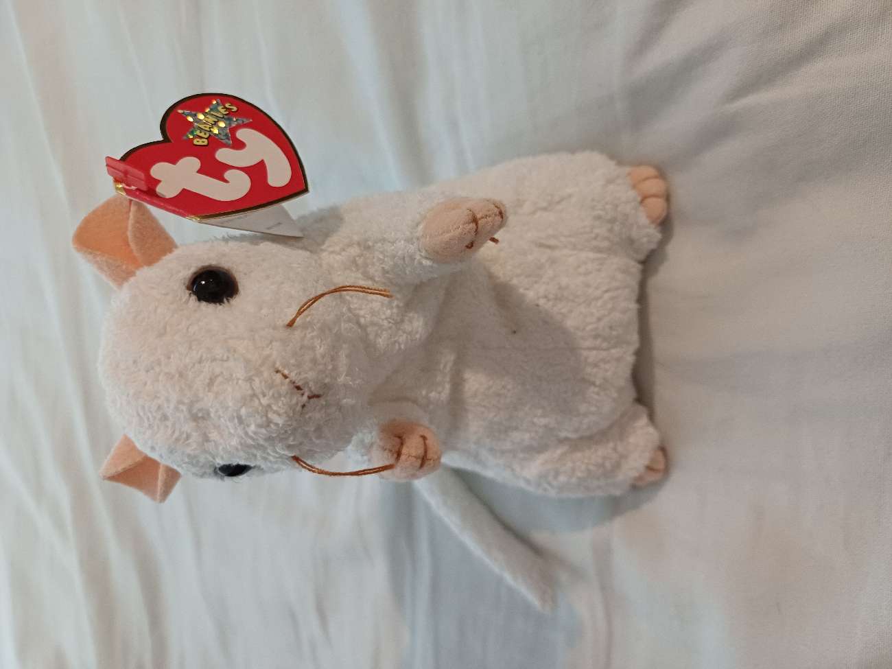 Beanie Baby Cheezer from 2000 !!! I love this cheddar goblin sm :) bought at Standerwick Carboot, Flea & Market - Pied Piper Promotions for £1.00