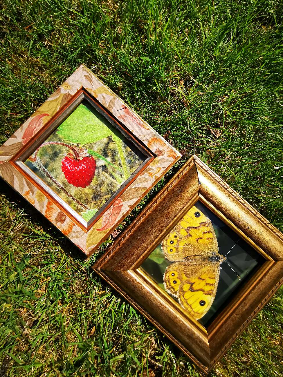 Wooden Frames🌿 bought at Age UK Charity Shop