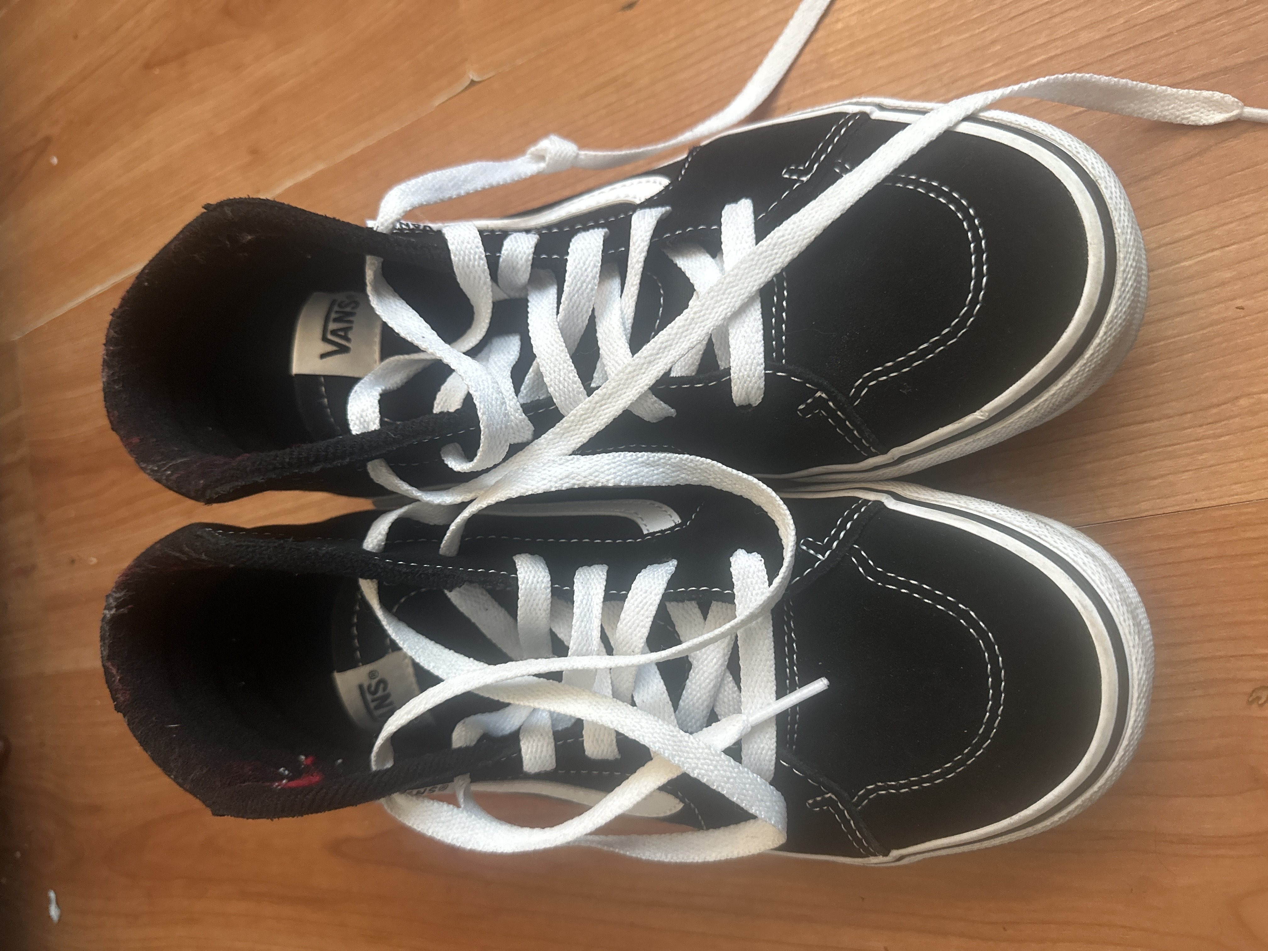 brand new vans bought at Animal Rescue Charity Shop for £10.00
