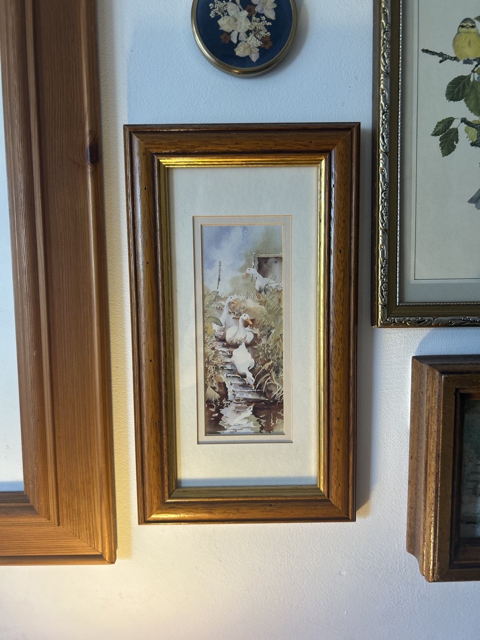 Duck print bought at Revitalise Charity Shop - Havant for £2.00