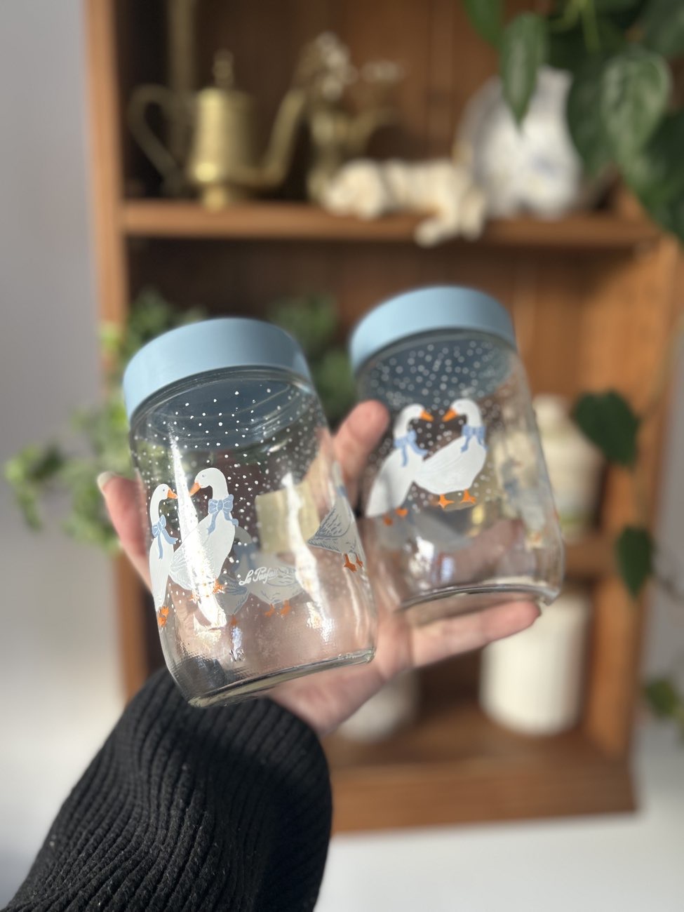 Vintage goose canisters £3 each bought at Rowans Hospice Fareham for £6.00
