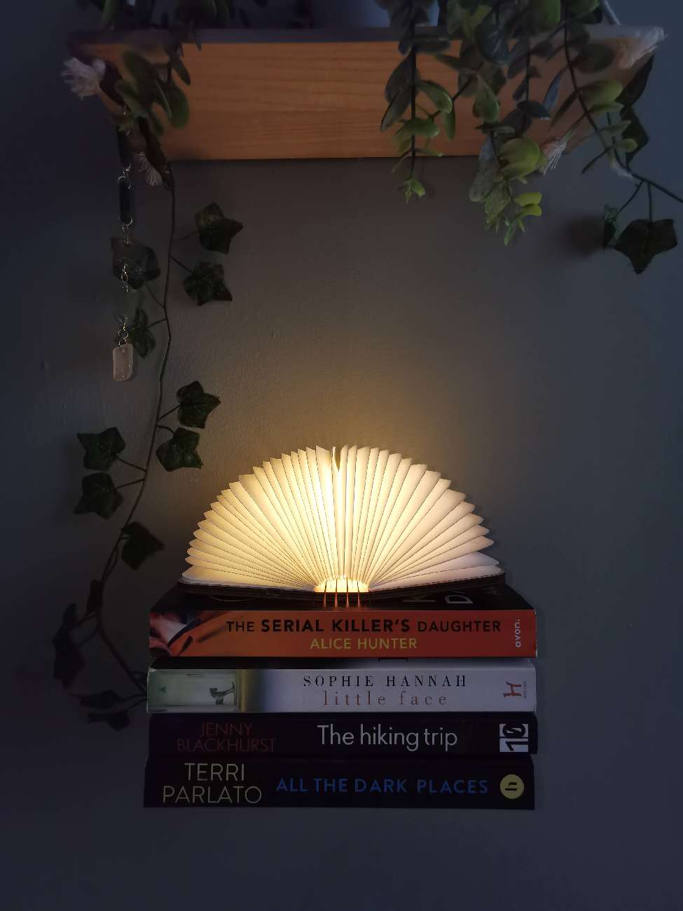 Book Lamp📚 bought at Age UK Charity Shop for £2.99