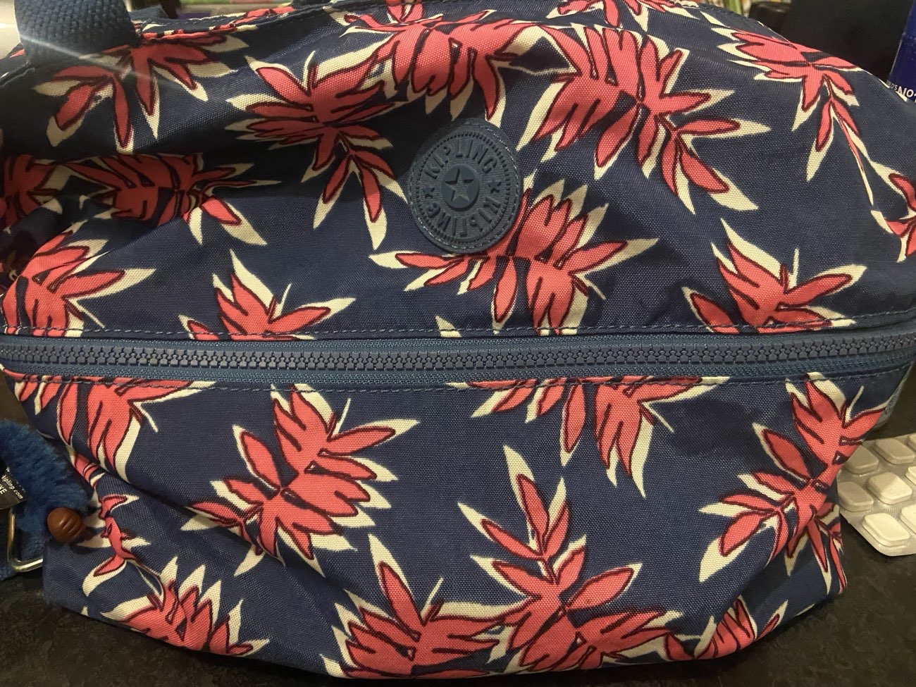cute kipling bag! with the lil monkey that convinced me to purchase bought at Blueberry Charity Shop for £3.00