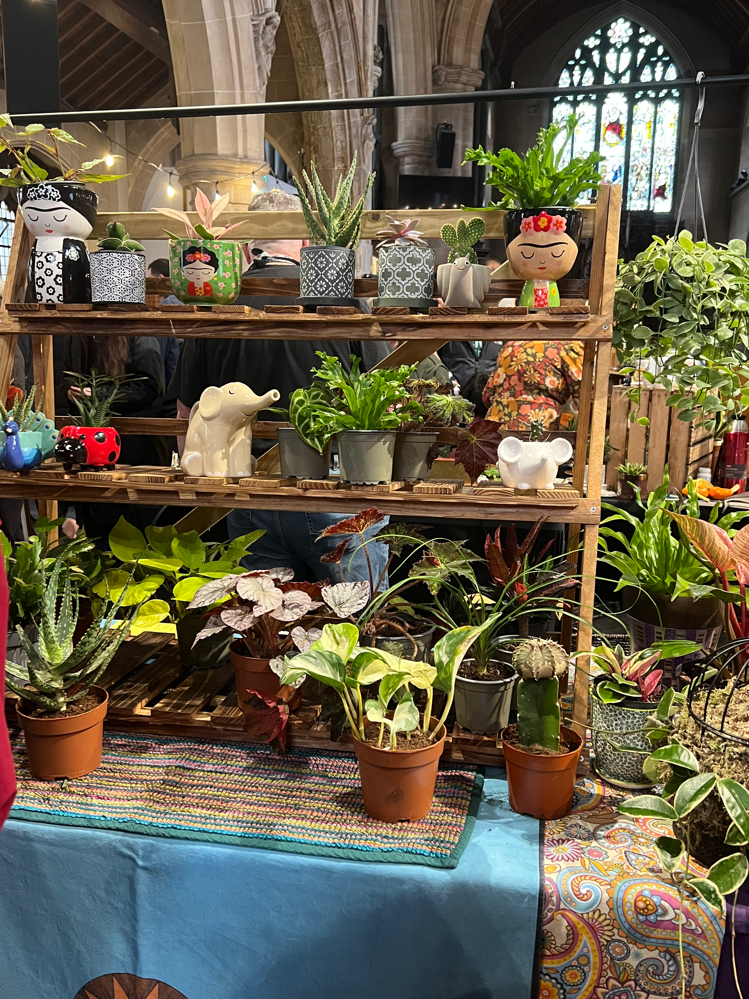 A set of shelves on a market stall, featuring various plants and pots of various shapes and colors.