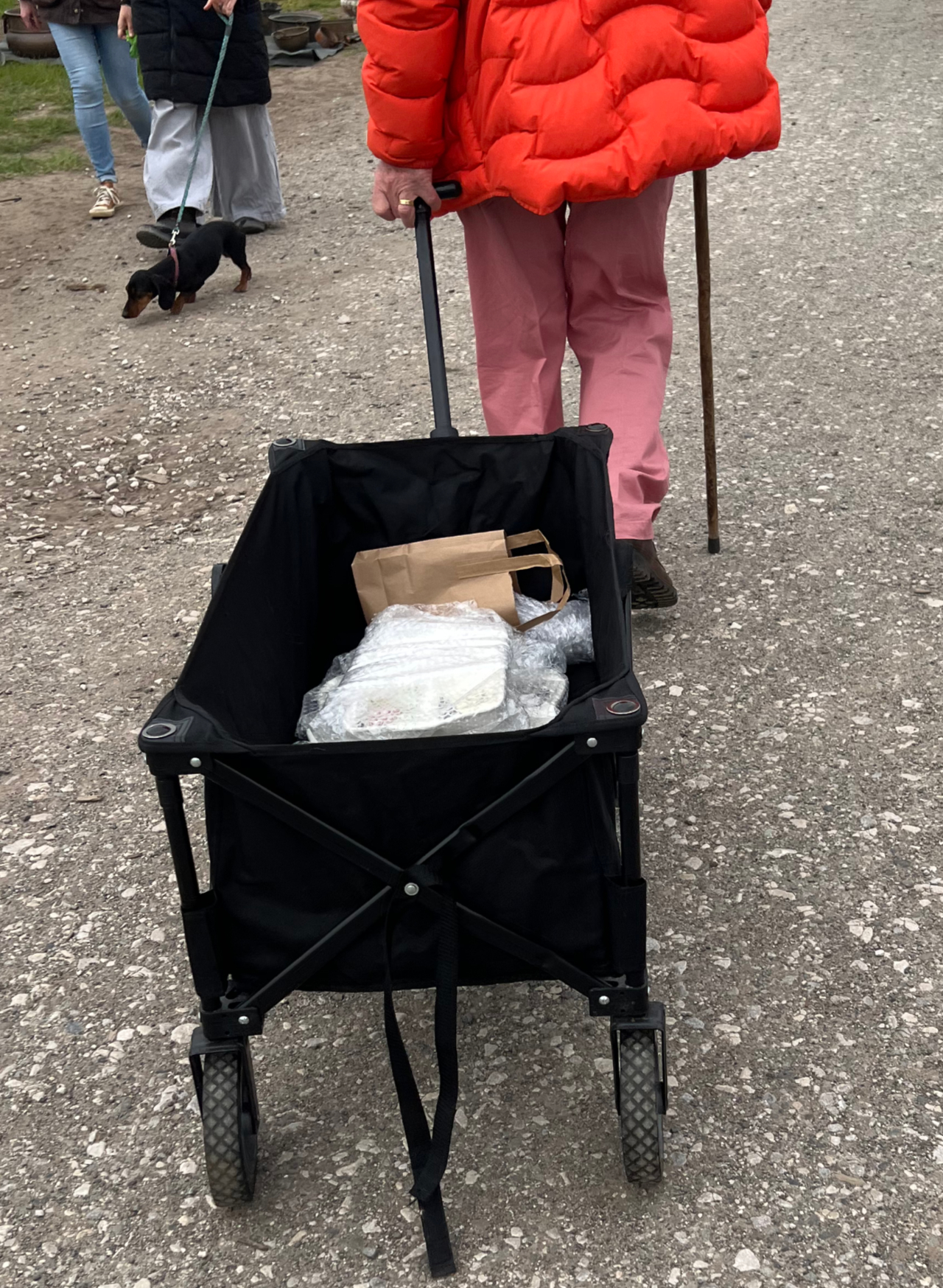 Man pulling a trolley cart with vintage items inside Dachshund in the background