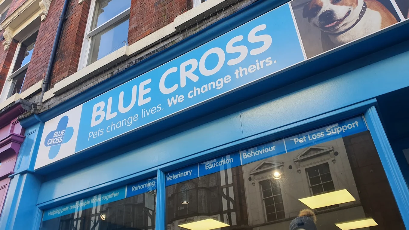 Blue Cross charity shop storefront in the UK with bright blue signage, supporting pet welfare and offering second-hand shopping.